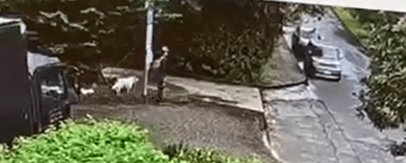 Click Here for Video
